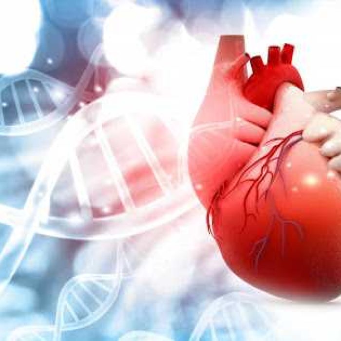 heart cardio