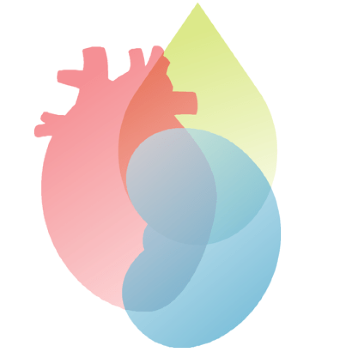 heart